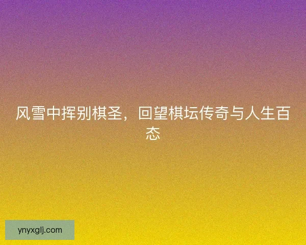 风雪中挥别棋圣，回望棋坛传奇与人生百态